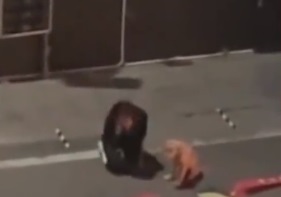 nvzdskhzjwm1.jpg