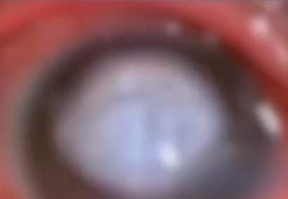yqbbjmgr1.jpg